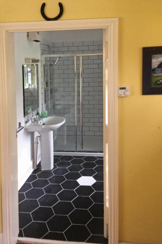Koupelna v ubytování 1 Bed in Woodenbridge oc-i010