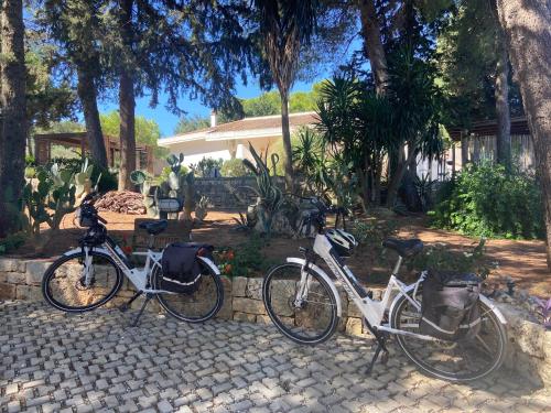 two bikes parked next to a stone wall at Casa 34 in Ceglie Messapica