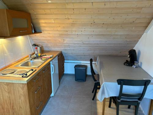 Kuchyň nebo kuchyňský kout v ubytování Cozy Apartment