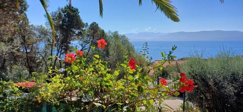 Duplex bord de mer avec jardin