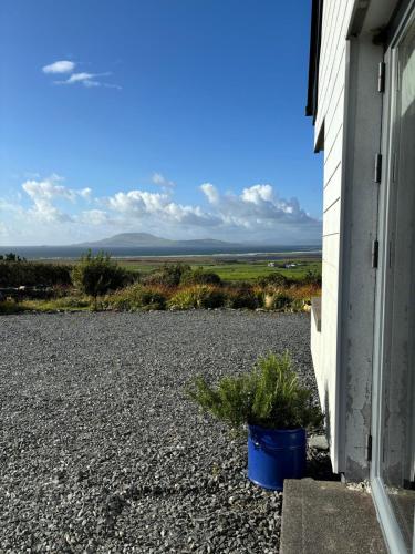 a potted plant sitting on the side of a house at 3 Bed in Louisburgh oc-ii06694 in Killeen