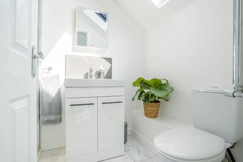 ein weißes Badezimmer mit Toilette und Waschbecken in der Unterkunft 4 Bed in Bushmills oc-b31852 in Billy