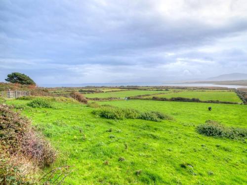 a field of green grass with the ocean in the background at 4 Bed in Annascaul oc-ii08305 in Inch
