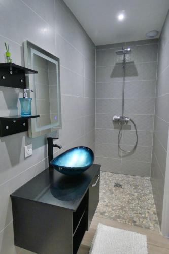 a bathroom with a blue sink and a shower at L'HACIENDA DUO a romantic getaway with a private spa in Charavines