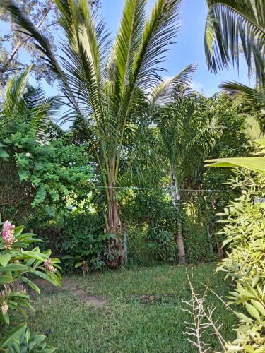 Gallery image of Filao villa in Riambel