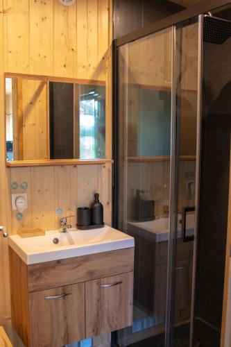 a bathroom with a sink and a shower at Tiny-House - 5 min de Montélimar - Salle de bain italienne & grand confort in Châteauneuf-du-Rhône
