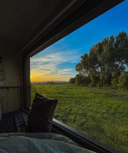 a view of a field from a window of a camper at Tiny-House - 5 min de Montélimar - Salle de bain italienne & grand confort in Châteauneuf-du-Rhône