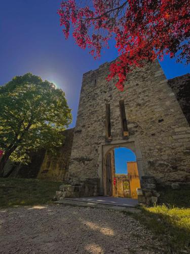 an entrance to an old stone building with a tree at Tiny-House - 5 min de Montélimar - Salle de bain italienne & grand confort in Châteauneuf-du-Rhône