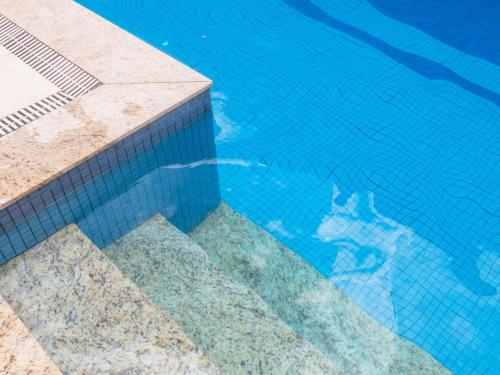 a reflection of a dog in a swimming pool at ibis Styles Belem Nazare in Belém