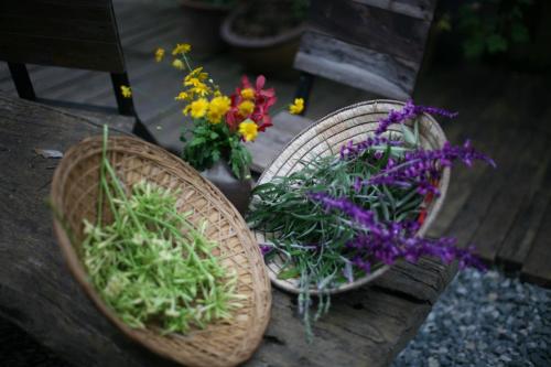 Zahrada ubytování Phong Lu Homestay Dalat