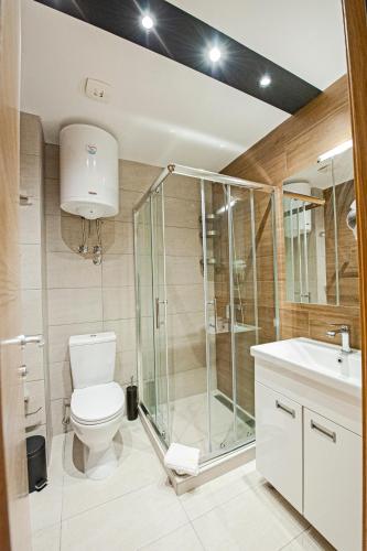 a bathroom with a toilet and a shower and a sink at Studio Kruna Kopaonik in Kopaonik