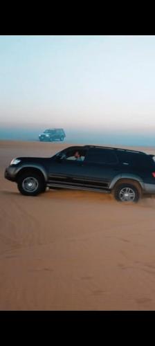 مخيم وادى الحيتان بالفيوم