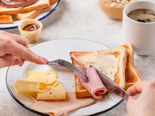 a person eating toast with ham and cheese on a plate at ibis budget Petropolis in Petrópolis