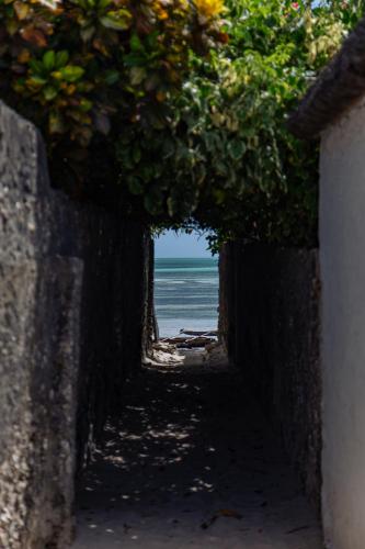 an alley way with a view of the ocean at Babu Villas in Jambiani