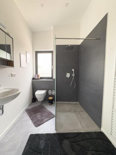 a bathroom with a shower and a toilet and a sink at Apart das Ehrets mit 3 Schlafzimmer in Bretzfeld
