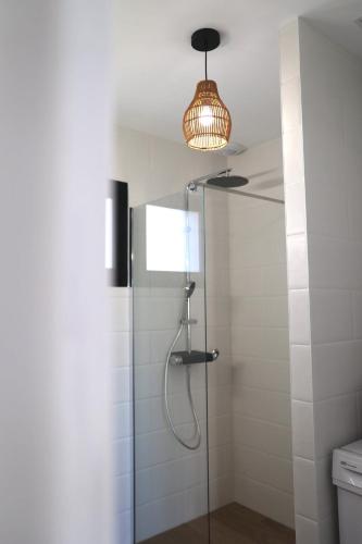a bathroom with a shower with a glass door at Le Jardin de Sauge in Le Teich
