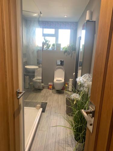 a bathroom with a toilet and a sink at Commuters Haven perfect for conferences airport and offices near airport in Cove