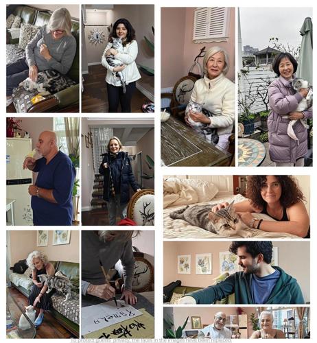 a collage of photos of people and their pets at koko's garden and cats --4mins walk from jingjusi metro st ation, English-speaking service in Chengdu