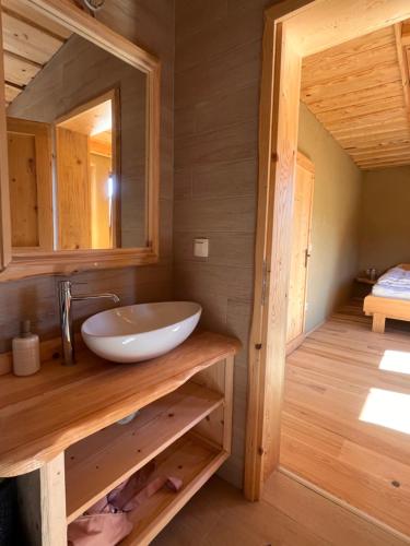 a bathroom with a sink and a mirror at Ethno holistic village Apače in Apače