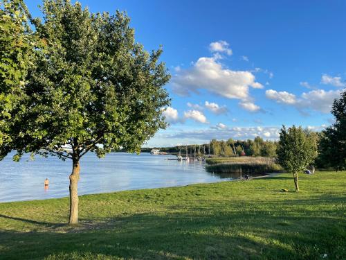 ビッターフェルトにあるZuhause am See - Eleganz im Altbauの湖畔の草木