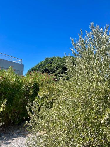 Gallery image of Villa Olympia in Rethymno Town