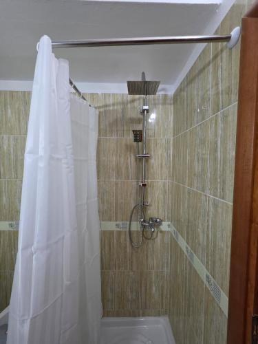 a shower with a white shower curtain in a bathroom at Tomi's Orikum Apartments in Orikum