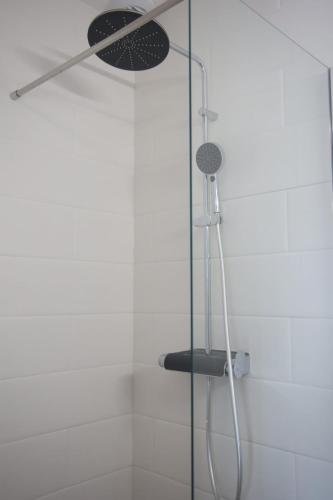 a shower with a glass door in a bathroom at Le jardin de Sienne - jardin clos in Le Teich