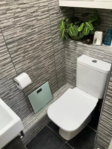 a bathroom with a white toilet and a sink at Beautiful City Centre Apartment with Cathedral View in St. Albans