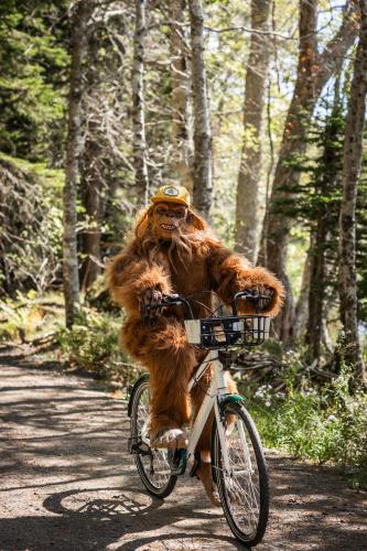 a person in an animal suit riding a bike at Sunken Escapes Cabin 10 in New Minas