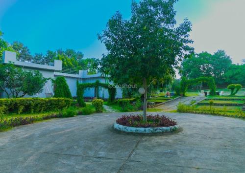 a tree in the middle of a driveway at Niladri farms in Bhundsi