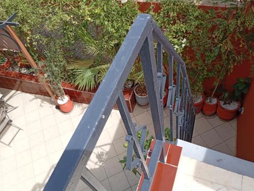 a blue railing with potted plants on a patio at Ryad Ayad in Marrakech