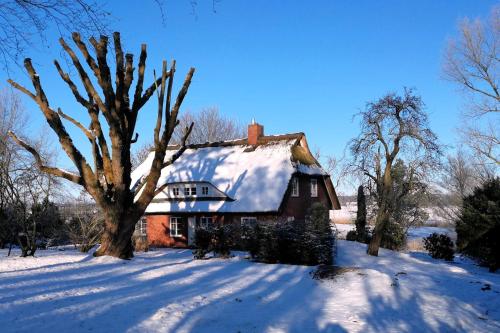 Reetdachhaus Eiderblick v zimě