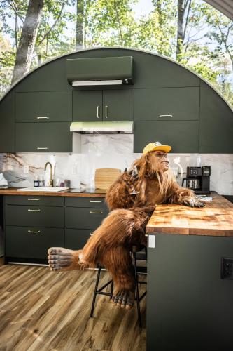 a statue of a monkey sitting on a counter in a kitchen at Sunken Escapes #3 Kit's Retreat in New Minas