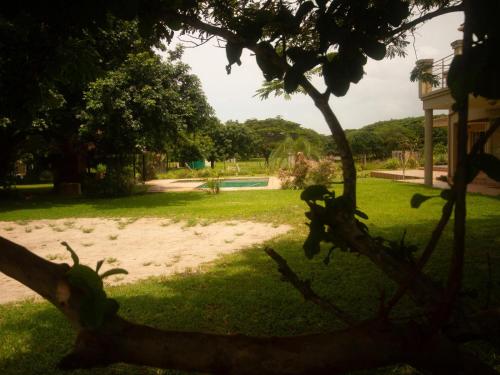 a view of a yard with a swimming pool at SeaXplore Lodge & Dive Center in Sodwana Bay