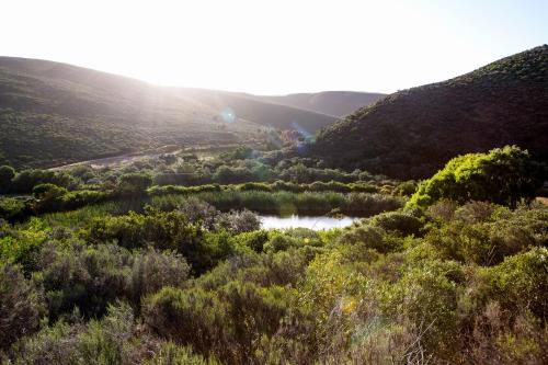 a view of a valley with a river and mountains at Porcupine Hills Olive and Guest Farm in Botrivier