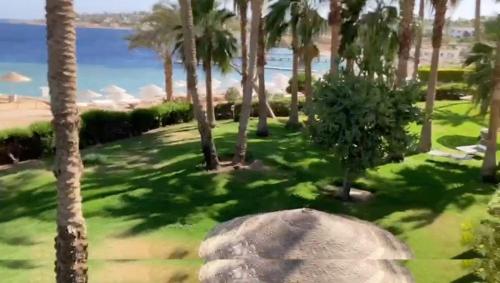 Penthouse terrace luxury sulla spiaggia