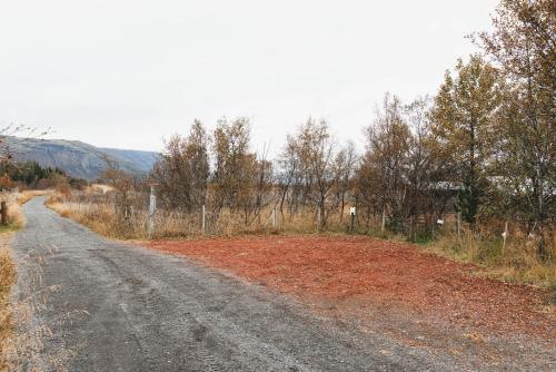 a dirt road with trees on the side of it at Riverside Cabin - Hot Tub, Fishing and Relaxing Escape in Laugarvatn
