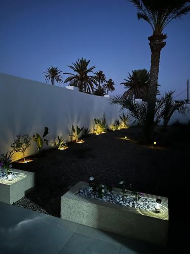 a garden at night with palm trees and lights at Beautiful villa for a stay in Djerba in Al Ḩaddādah