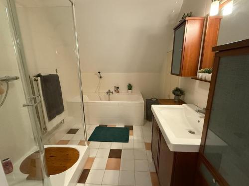 a bathroom with a shower and a tub and a sink at Appartementen Elzentuin in Oud-Beijerland