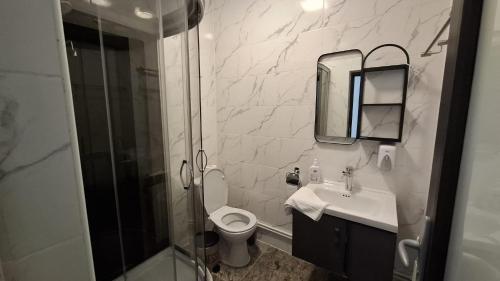 a bathroom with a toilet and a sink and a shower at Casa Medeea in Podu Turcului