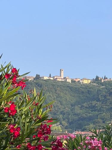 Foto Case Vacanza Valpolicella 5