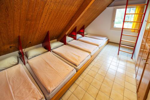 a group of beds in a room with a ladder at Delémont Youth Hostel in Delémont