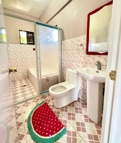a bathroom with a toilet and a sink and a shower at Villa de Flynn Private Resort in Bauang