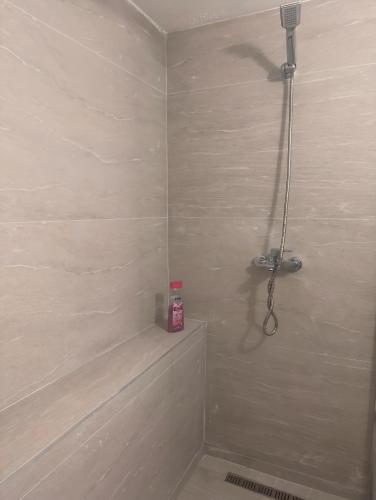 a shower in a bathroom with a shower head at Avala Villa With Indoor Pool & Spa in Vrčin