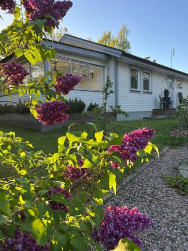 a house with purple flowers in front of it at Casa Hylle in Löddeköpinge