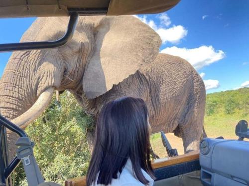a girl looking at an elephant standing next to a vehicle at Leopard Corner Lodge in St Lucia