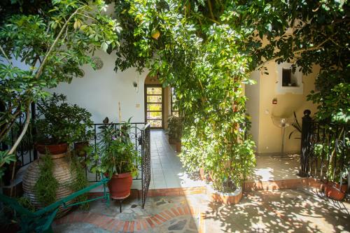 an arbor with trees and potted plants in a building at Studios Nopi-Zoi in Skiathos Town