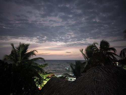 a view of the ocean from a beach with palm trees at Cabaña Villa Eugenia in Rincón