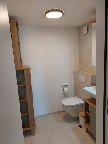 a bathroom with a toilet and a sink at La Riva (240 Ri) in Lenzerheide