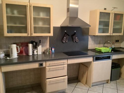 a kitchen with a sink and a stove top oven at Ferienwohnung Sonnenterrasse in Schlausenbach